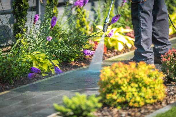 Best Parking Lot and Garage Cleaning  in Pecan Grove, TX